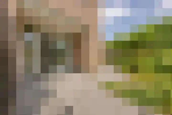 Duigendreef 29 Oosterhout thumbnail 60