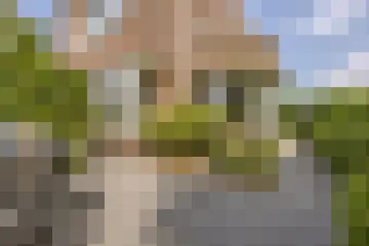 Duigendreef 29 Oosterhout thumbnail 62