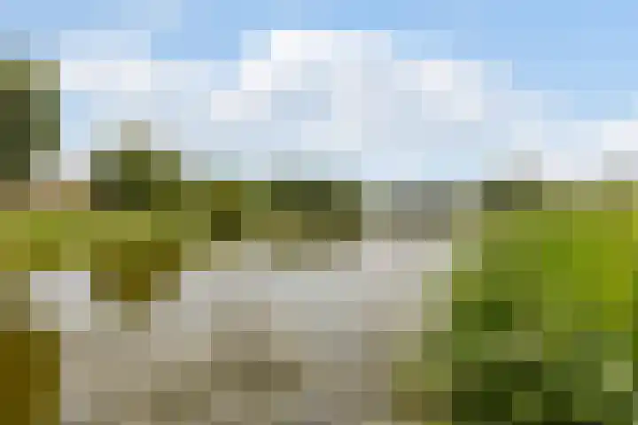 Duigendreef 29 Oosterhout thumbnail 65