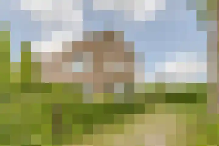 Duigendreef 29 Oosterhout thumbnail 66