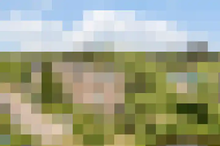 Duigendreef 29 Oosterhout thumbnail 69