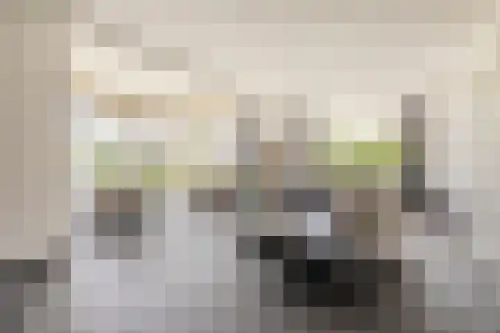 Duigendreef 29 Oosterhout thumbnail 7