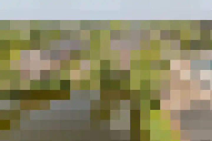 Duigendreef 29 Oosterhout thumbnail 70