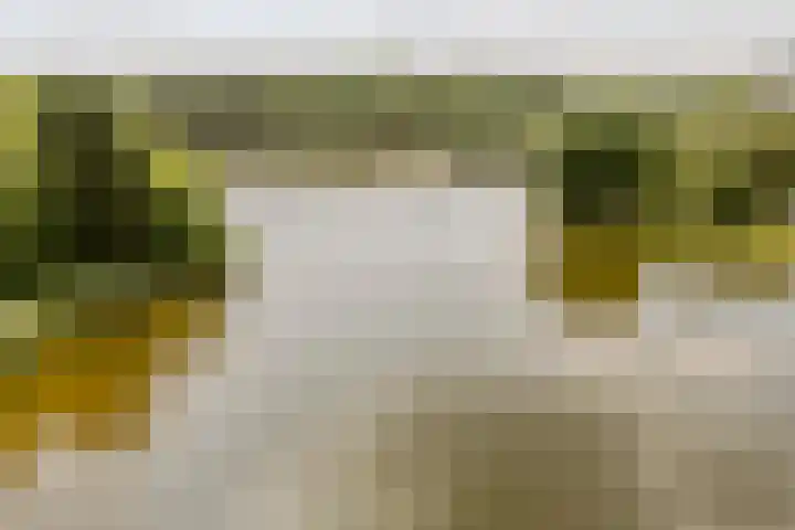 Duigendreef 29 Oosterhout thumbnail 71