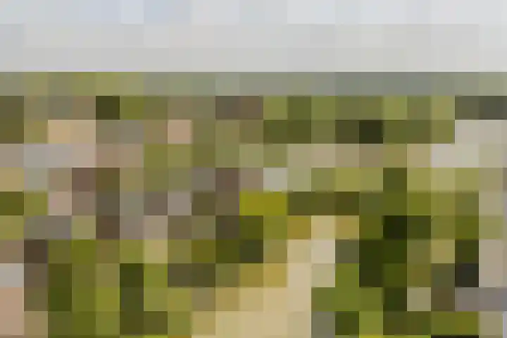 Duigendreef 29 Oosterhout thumbnail 72
