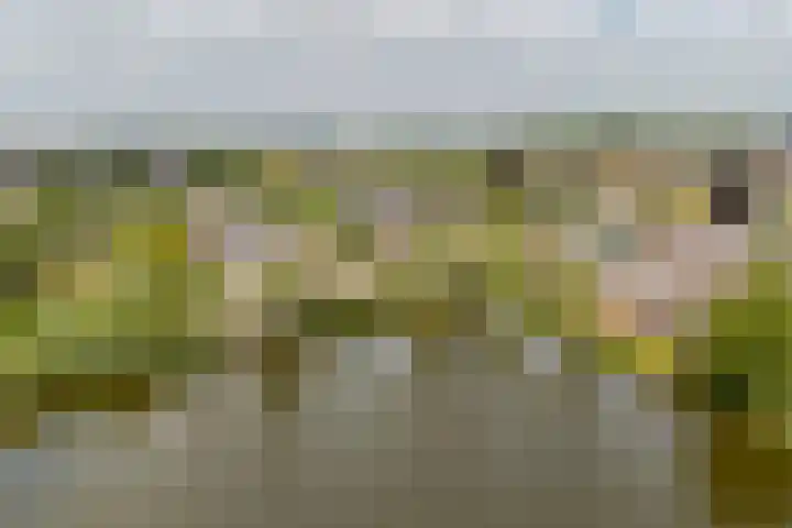 Duigendreef 29 Oosterhout thumbnail 73