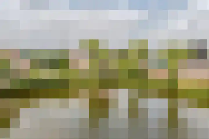 Duigendreef 29 Oosterhout thumbnail 74
