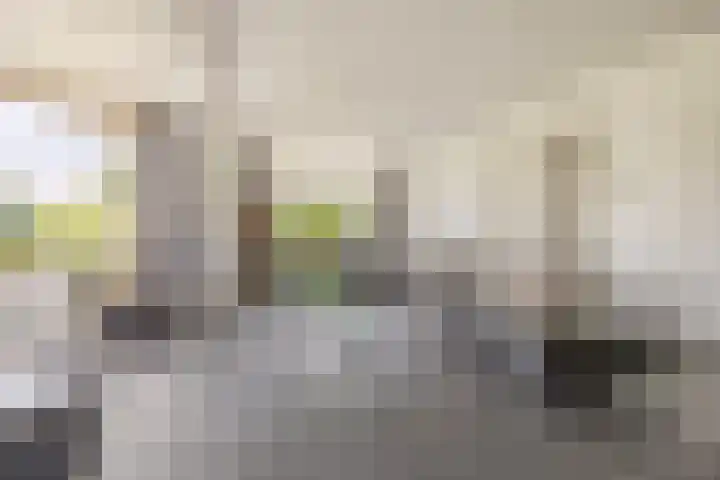 Duigendreef 29 Oosterhout thumbnail 9