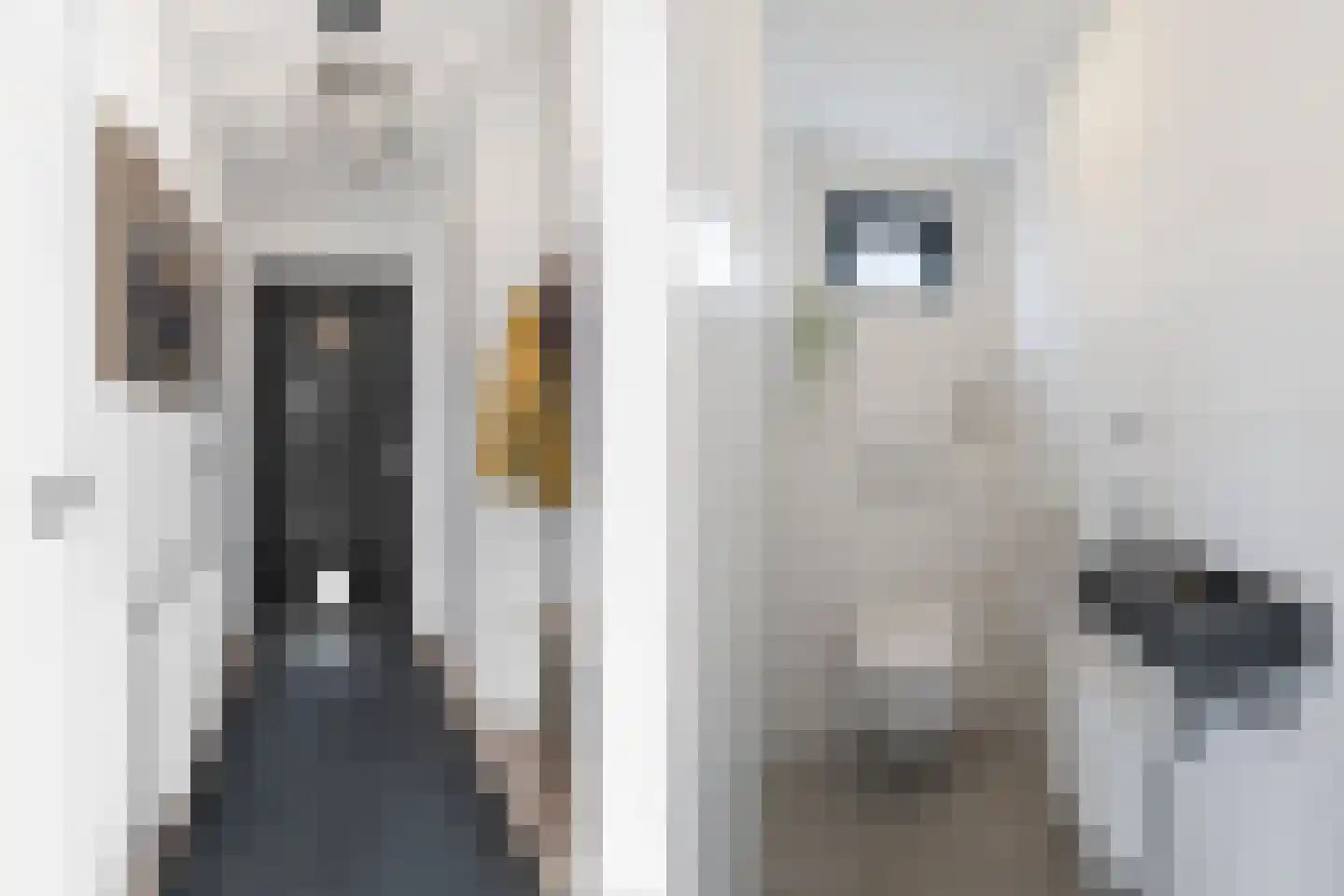 Duijfjeslaan 1 Jisp thumbnail 13
