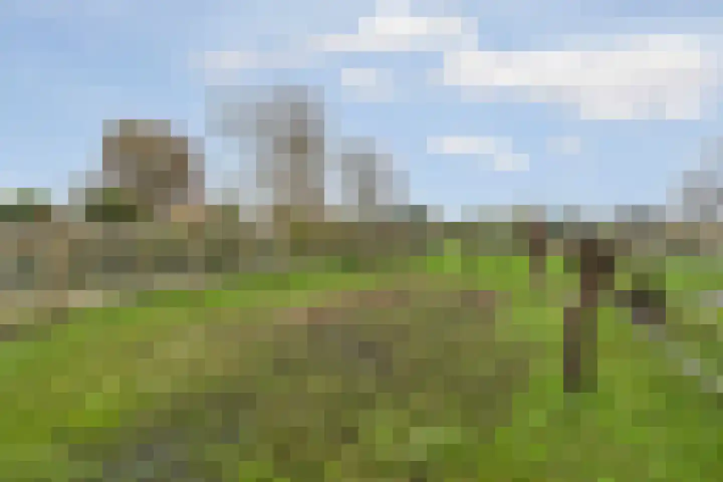 Duijfjeslaan 1 Jisp thumbnail 35