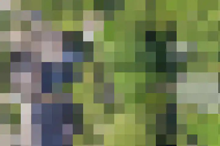 Duijvenbrug 11 Hoogkarspel thumbnail 4