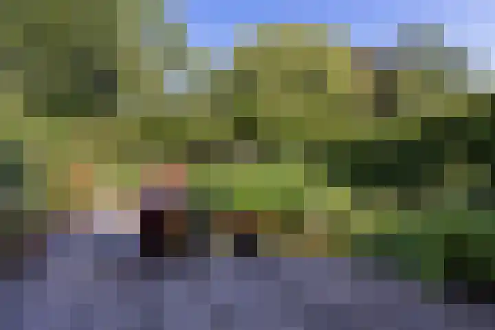 Duijvenbrug 11 Hoogkarspel thumbnail 40