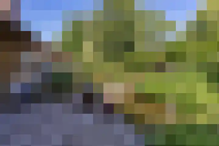 Duijvenbrug 11 Hoogkarspel thumbnail 41