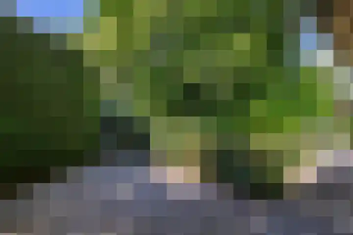 Duijvenbrug 11 Hoogkarspel thumbnail 43