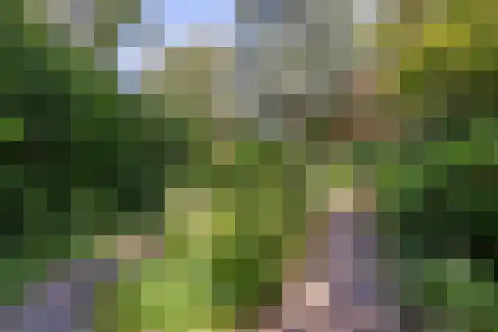 Duijvenbrug 11 Hoogkarspel thumbnail 46