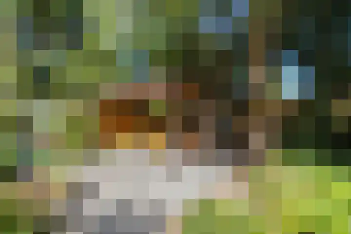 Duijvenbrug 11 Hoogkarspel thumbnail 47