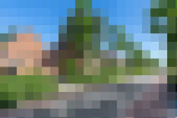 Duijvenbrug 11 Hoogkarspel thumbnail 5