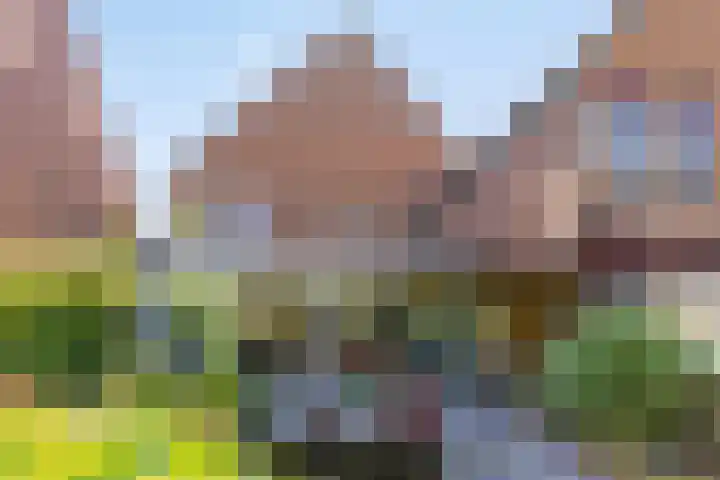 Duijvenbrug 11 Hoogkarspel thumbnail 50