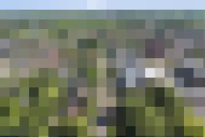 Duijvenbrug 11 Hoogkarspel thumbnail 52