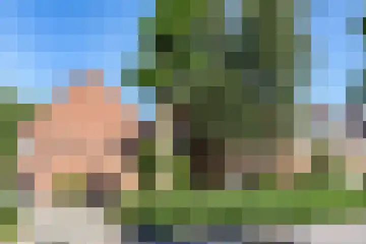 Duijvenbrug 11 Hoogkarspel thumbnail 6