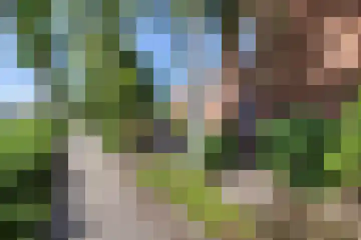 Duijvenbrug 11 Hoogkarspel thumbnail 9
