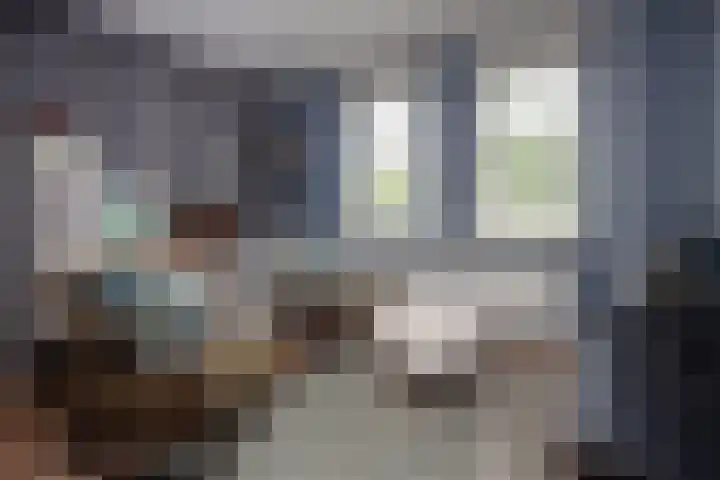 Duijvenbrug 9 Hoogkarspel thumbnail 21