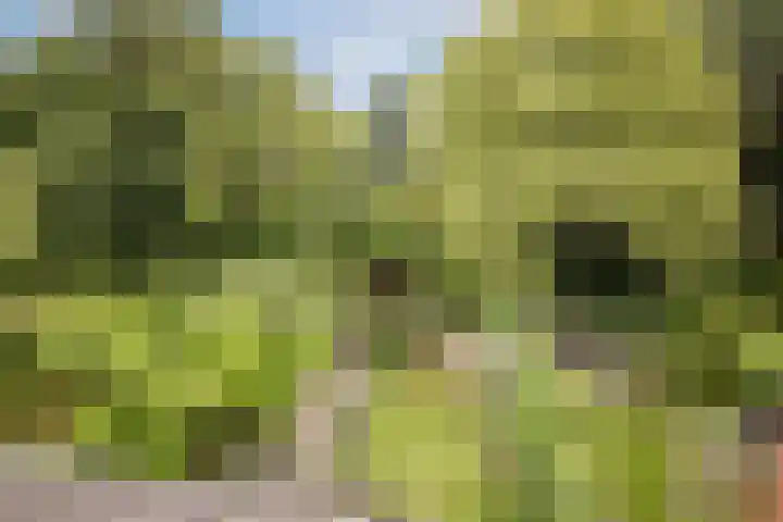 Duijvenbrug 9 Hoogkarspel thumbnail 27