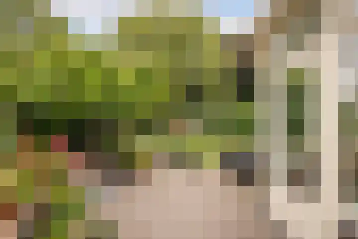 Duijvenbrug 9 Hoogkarspel thumbnail 34