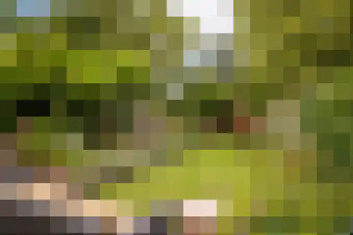 Duijvenbrug 9 Hoogkarspel thumbnail 35