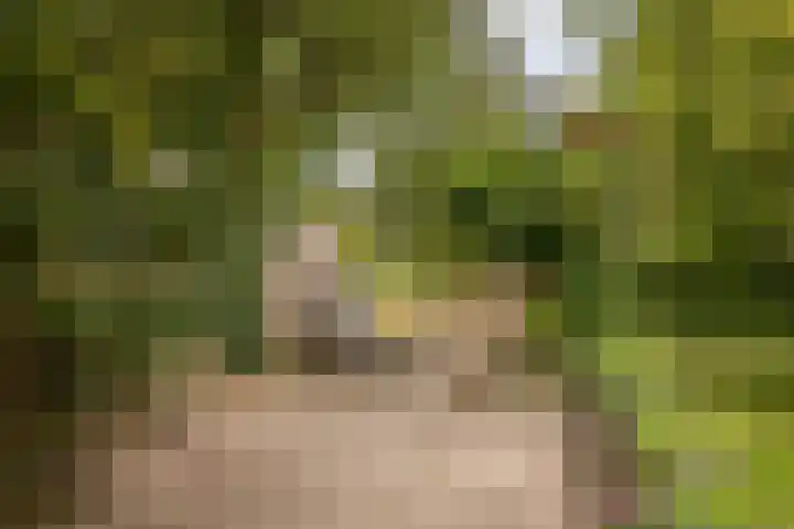 Duijvenbrug 9 Hoogkarspel thumbnail 37