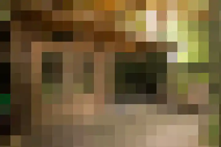 Duijvenbrug 9 Hoogkarspel thumbnail 4