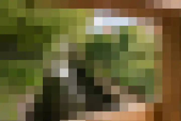 Duijvenbrug 9 Hoogkarspel thumbnail 41