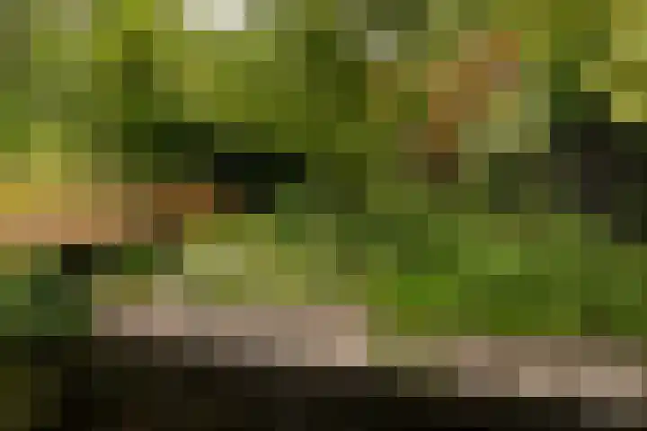 Duijvenbrug 9 Hoogkarspel thumbnail 43