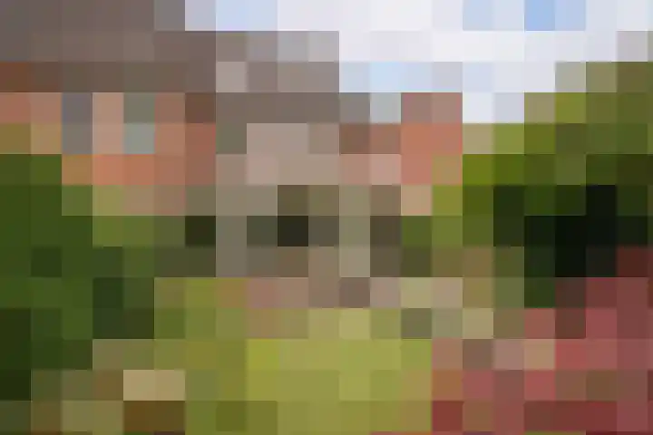 Duijvenbrug 9 Hoogkarspel thumbnail 44