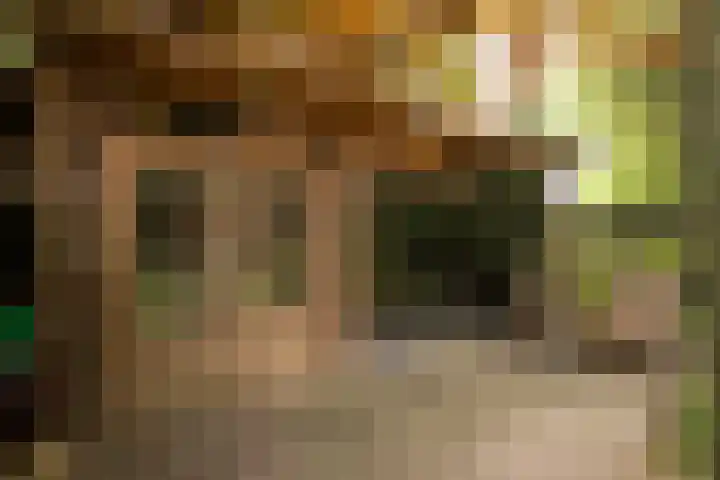 Duijvenbrug 9 Hoogkarspel thumbnail 47