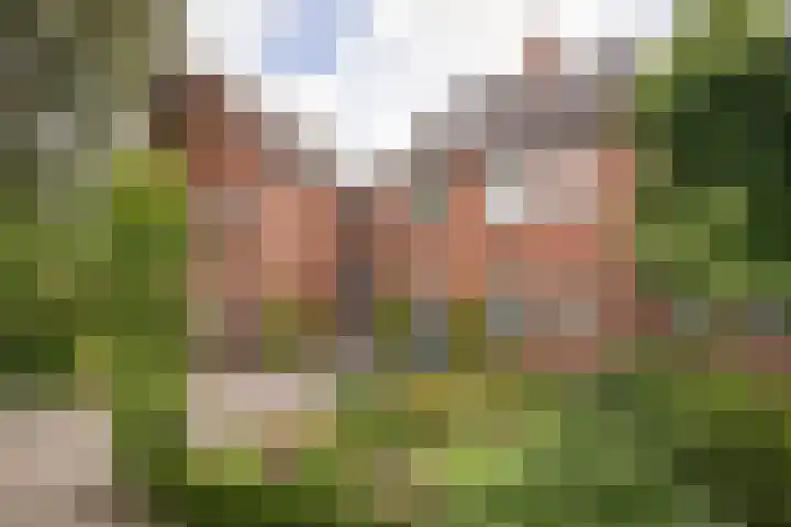 Duijvenbrug 9 Hoogkarspel thumbnail 5