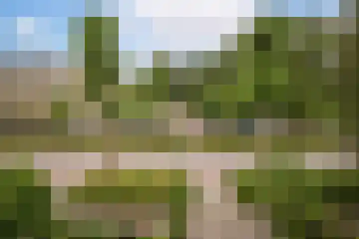 Duijvenbrug 9 Hoogkarspel thumbnail 50