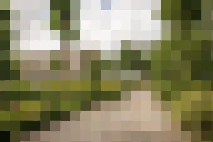 Duijvenbrug 9 Hoogkarspel thumbnail 6