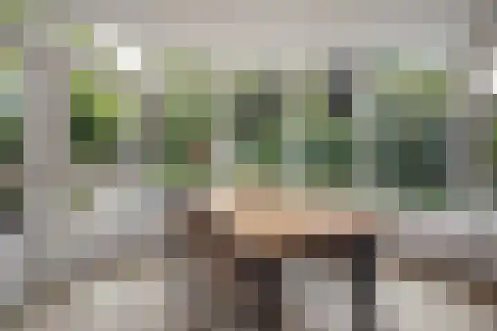 Duijvenbrug 9 Hoogkarspel thumbnail 9