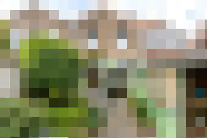 Duijvendrechtstraat 30 Vlissingen thumbnail 18