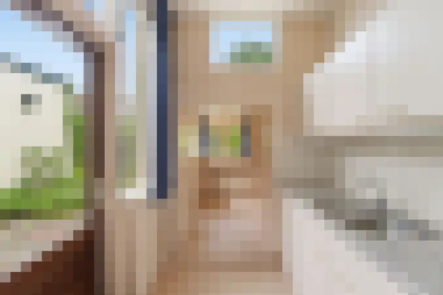 Duijvendrechtstraat 31 Vlissingen thumbnail 13