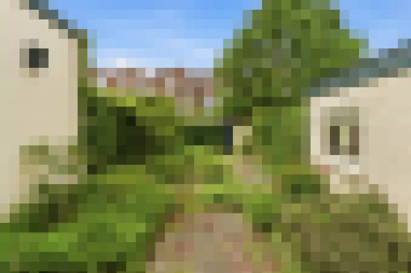 Duijvendrechtstraat 31 Vlissingen thumbnail 17