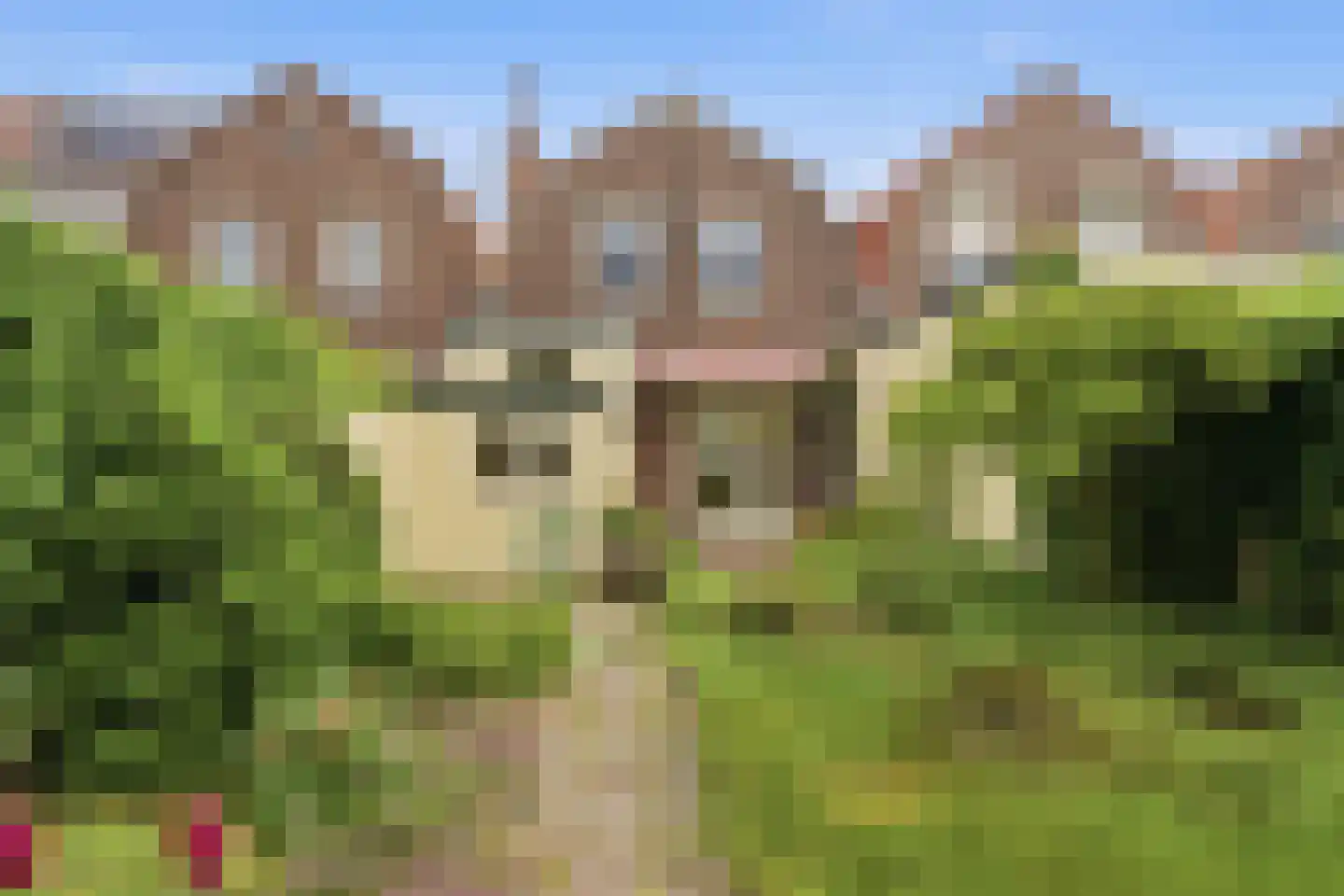 Duijvendrechtstraat 31 Vlissingen thumbnail 21