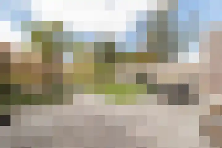 Duijves Weer 10 Assendelft thumbnail 16