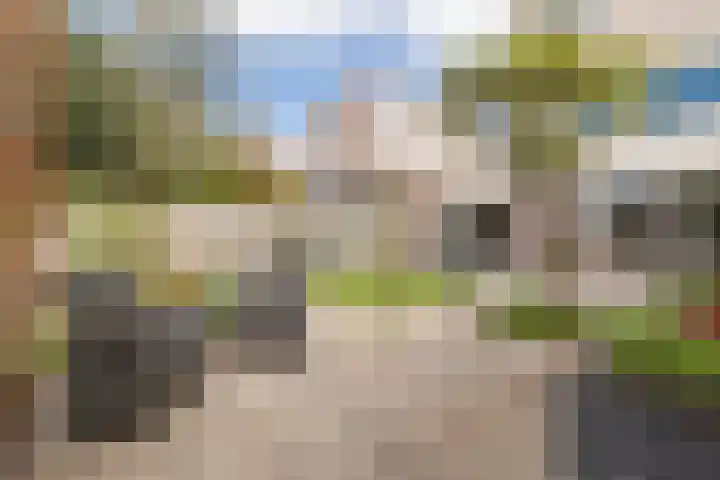 Duijves Weer 10 Assendelft thumbnail 17