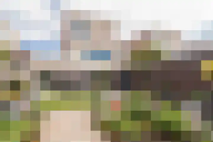 Duijves Weer 10 Assendelft thumbnail 18