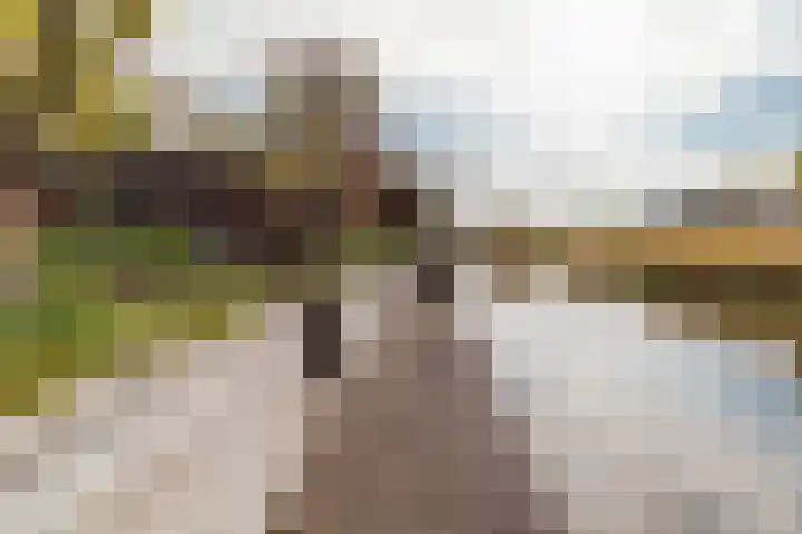 Duijves Weer 10 Assendelft thumbnail 19