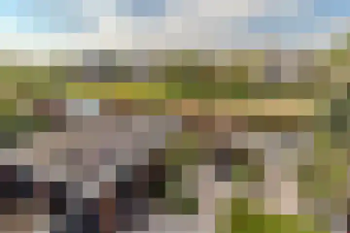 Duijves Weer 10 Assendelft foto 2