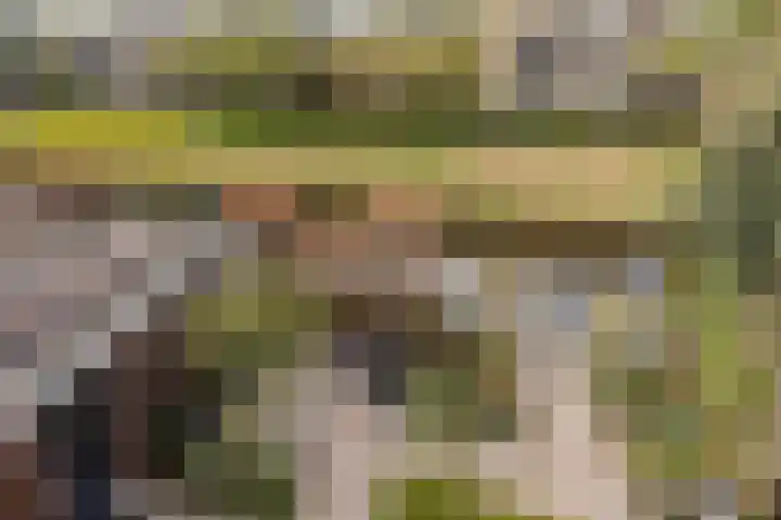 Duijves Weer 10 Assendelft thumbnail 21