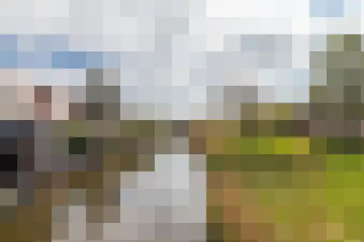 Duijves Weer 10 Assendelft thumbnail 22